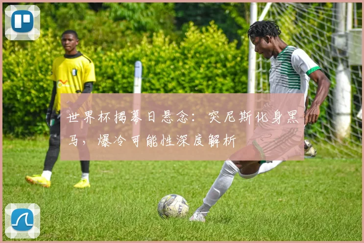 世界杯揭幕日悬念：突尼斯化身黑马，爆冷可能性深度解析
