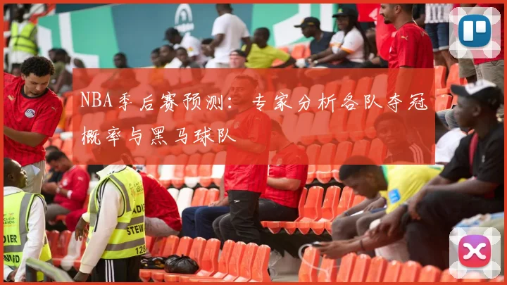 NBA季后赛预测:专家分析各队夺冠概率与黑马球队
